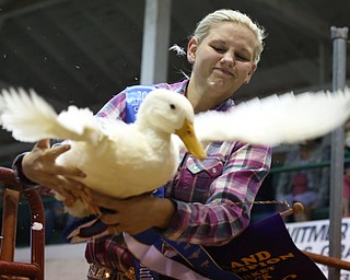 Kearstin Rummel's duck tries to escape during auction at the 171st Canfield Fair, Friday, Sept. 1, 2017, at the Canfield Fairgrounds in Canfield...(Nikos Frazier | The Vindicator)