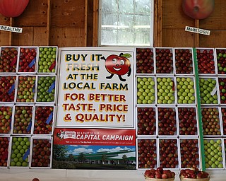 Apples inside the Hay and Grain Barn at the 171st Canfield Fair, Thursday, August 31, 2017, at the Canfield Fairgrounds in Canfield...(Nikos Frazier | The Vindicator)