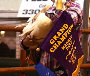 Kearstin Rummel's holds her duck at auction at the 171st Canfield Fair, Friday, Sept. 1, 2017, at the Canfield Fairgrounds in Canfield...(Nikos Frazier | The Vindicator)