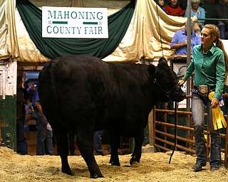 Nelle Yankovich(16) of Minerva, shows off her 18 month-old market cow, Ben, at auction at the 171st Canfield Fair, Friday, Sept. 1, 2017, at the Canfield Fairgrounds in Canfield...(Nikos Frazier | The Vindicator)