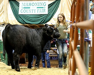 Lydia Mashburn(19) of Loweville shows off her cow Turbo at the 171st Canfield Fair, Friday, Sept. 1, 2017, at the Canfield Fairgrounds in Canfield...(Nikos Frazier | The Vindicator)