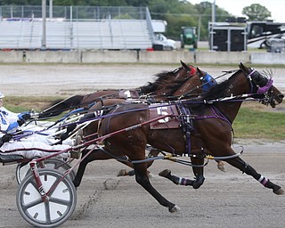 1 mile pace Harness Racing at the 171st Canfield Fair, Saturday, Sept. 2, 2017, at the Canfield Fairgrounds in Canfield...(Nikos Frazier | The Vindicator)