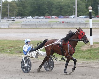 Modern Warfare ridden by Christopher Shaw wins the 1 mile pace Harness Race at the 171st Canfield Fair, Saturday, Sept. 2, 2017, at the Canfield Fairgrounds in Canfield...(Nikos Frazier | The Vindicator)