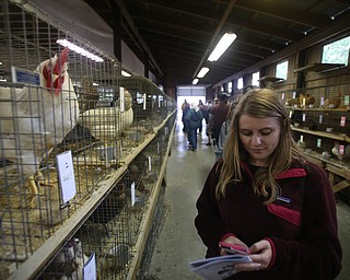 Vindicator Reporter Jordyn Grzelewski takes notes on her phone next to a rooster at stop #2 on the Ag-Venture at the 171st Canfield Fair, Saturday, Sept. 2, 2017, at the Canfield Fairgrounds in Canfield...(Nikos Frazier | The Vindicator)