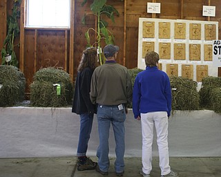 Stop #6 on the Ag-Venture at the 171st Canfield Fair, Saturday, Sept. 2, 2017, at the Canfield Fairgrounds in Canfield...(Nikos Frazier | The Vindicator)