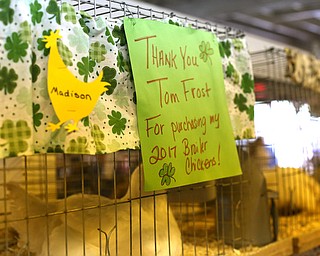 A "Thank You" note in the Junior Fair stables at the 171st Canfield Fair, Sunday, Sept. 3, 2017, at the Canfield Fairgrounds in Canfield...(Nikos Frazier | The Vindicator)