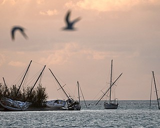 Damaged sail boats are shown in the aftermath of Hurricane Irma, Monday, Sept. 11, 2017, in the Florida Keys. (Matt McClain/The Washington Post via AP, Pool)