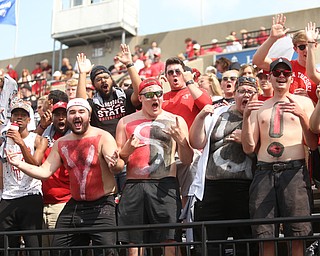 Fans before Youngstown State takes on Central Connecticut State, Saturday, Sept. 16, 2017, at Stambaugh Stadium in Youngstown. Youngstown State won 59-9...(Nikos Frazier | The Vindicator)..