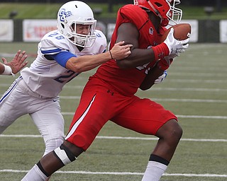 Youngstown State University tail back Tevin McCaster (37) grabs the loose blocked punt in the third quarter as Youngstown State takes on Central Connecticut State, Saturday, Sept. 16, 2017, at Stambaugh Stadium in Youngstown. Youngstown State won 59-9. Central Connecticut State University Blue Devils kicker Frankie Palmer (28)..(Nikos Frazier | The Vindicator)..