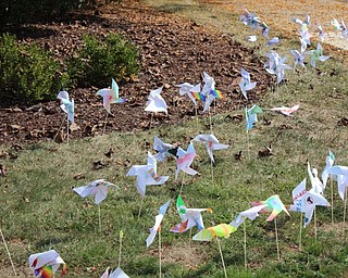 Neighbors | Abby Slanker.Canfield High School students took part in an international art and literacy project, Pinwheels for Peace, by ‘planting’ pinwheels with messages of peace at the main entrance of the high school on Sept. 21.