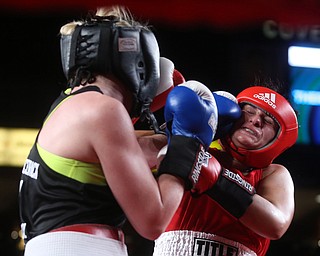 Boxing Covelli Centre