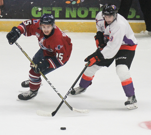 William D. Lewis The Vindicator  PhantomsTommy Parrotino(9) and Chicaog's Cory Babichuk(15)) battle for the puck during 10-8-17 action at Covelli.