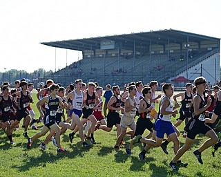 BAZETTA, OHIO - OCTOBER 14, 2017: Runners leave the starting area at the beginning of the Division 1/2 race during the Sim Earich Invitational, Saturday morning at the Trumbull County Fair Grounds. DAVID DERMER | THE VINDICATOR