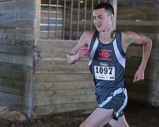 BAZETTA, OHIO - OCTOBER 14, 2017: LaBrae's Jakob Rose sprints to the finish line through a barn during the Division 3 race during the Sim Earich Invitational, Saturday morning at the Trumbull County Fair Grounds. DAVID DERMER | THE VINDICATOR