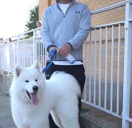 Robert Orr of Howland and his 2 year-old Samoyed, Hunter, pose for a photo before the 42nd annual Youngstown Peace Race, Sunday, Oct. 22, 2017, in Youngstown...(Nikos Frazier | The Vindicator)