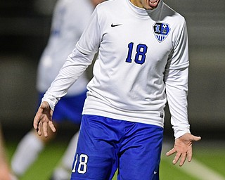 CORTLAND, OHIO - OCTOBER 23, 2017: Lakeview's Michael Augustine celebrate after time expired after the second half of their game Tuesday night at Lakeview High School. Lakeview won 1-0. DAVID DERMER | THE VINDICATOR