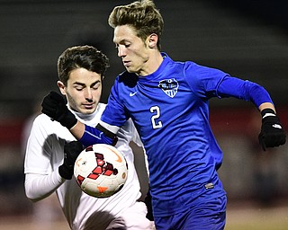 Howland Lakeview Soccer