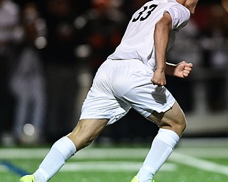 Howland's Gabe Altawil celebrates after scoring the game winning shootout goal to defeat Lakeview. DAVID DERMER | THE VINDICATOR