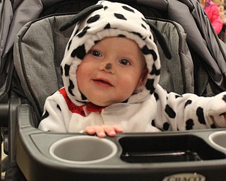 Neighbors | Abby Slanker.Anthony, from Boardman, was dressed as a Dalmatian for the Canfield Presbyterian Church’s annual Trunk or Treat on Oct. 25.