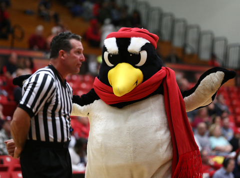 Youngstown State mascot Pete the Penguin taunts a  official during the third quarter of a NCAA College Basketball game against Kent State, Tuesday, Nov. 14, 2017, at Beeghly Center in Youngstown. Kent State won 55-44...(Nikos Frazier | The Vindicator)..