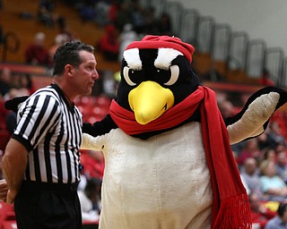 Youngstown State mascot Pete the Penguin taunts a  official during the third quarter of a NCAA College Basketball game against Kent State, Tuesday, Nov. 14, 2017, at Beeghly Center in Youngstown. Kent State won 55-44...(Nikos Frazier | The Vindicator)..