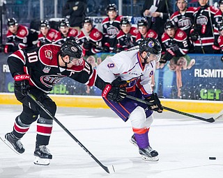 Scott R. Galvin | The Vindicator.Youngstown Phantoms left wing Tommy Parrottino (9) skates to the net past Chicago Steel defenseman Derek Daschle (10) during the first period at the Covelli Centre on Saturday, November 18, 2017.