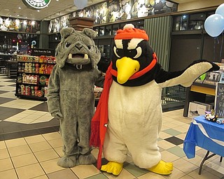 Neighbors | Zack Shively.The Poland Bulldog mascot and YSU's Pete the Penguin walked throughout Barnes and Noble during Poland Dobbins Elementary's book fair.