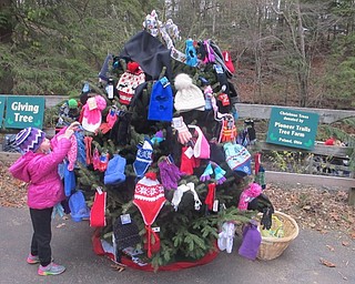 Neighbors | Zack Shively.The MCESC had their giving tree outside of the mill. Families place gloves and hats on the tree and the MCESC gives them to those in need.