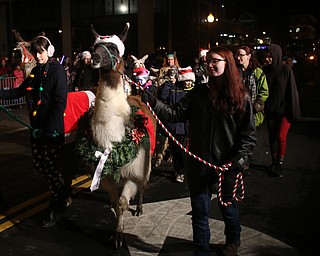Members of the Llucky Llamas 4-H Club walk during the annual Youngstown Christmas Parade and Tree lighting, Friday, Dec. 1, 2017, in downtown Youngstown...(Nikos Frazier | The Vindicator)