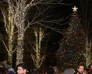 The Tree during the annual Youngstown Christmas Parade and Tree lighting, Friday, Dec. 1, 2017, in downtown Youngstown...(Nikos Frazier | The Vindicator)