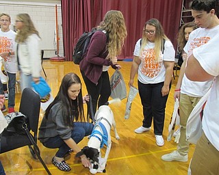 Neighbors | Zack Shively.Boardman High School students met with a number of organizations in the school gym. The groups gave students opportunities to volunteer and help with their organizations. Organizations included the United Way, Habitat for Humanity and many others. Angels for Animals brought a dog to the event.