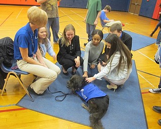 Neighbors | Zack Shively.The group Pawz For People came to Austintown Fitch High School on Nov. 3. The organization trains, registers and certifies each of the dogs and handlers. All the handlers volunteer at the organization.