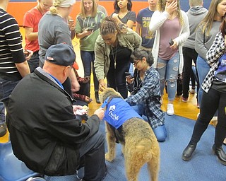 Neighbors | Zack Shively.Senior English teacher Cindy McCutcheon oversaw the seniors' project at Austintown Fitch High School. She said the therapy dogs have a noticeable positive effect on the students throughout the day.