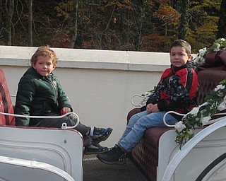 Neighbors | Zack Shively.A horse-drawn carriage arrived at the Poland library for the Public Library of Youngstown and Mahoning County's Disney Princess and Superhero Breakfast. The event drew approximately 100 children and had 12 volunteers. Friends of the PLYMC sponsored the event.
