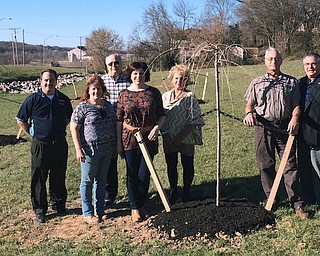 Rotary International President Ian Risely has challenged every Rotarian throughout the world to plant a tree between July 1, 2017, and April 22, 2018. Struthers Rotary responded by planting 20 weeping cherry trees in the new park space being developed on the north side of the Bridge Street bridge. The Rotary continues assistance and development of projects for Struthers and the Mahoning Valley. Above, from left, are Rotarians Bryan Higgins; Darla Donahue; Tom Baringer; Jennifer Johnson, president; Denise Loboy; Mike Krake; and Anthony Quahliero.
