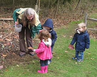 Neighbors | Zack Shively.Marilyn Williams took the children outside of the Ford Nature Center to collect leaves and acorns. The group walked along a back trail leading to a large oak tree.