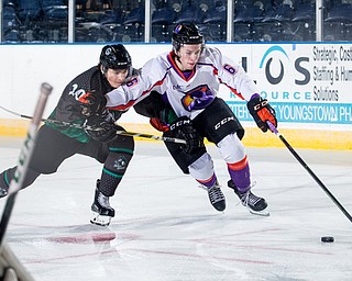 Scott R. Galvin | The Vindicator.Youngstown Phantoms right wing Max Ellis (6) skates the puck around Cedar Rapids RoughRiders defenseman Sam Malinksi (20) during the first period on Thursday, December 14, 2017 at the Covelli Centre.