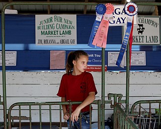 Abigail Gay(14) feeds her lambs at the 171st Canfield Fair, Thursday, August 31, 2017, at the Canfield Fairgrounds in Canfield. Abigail is donating one of her lambs to the Junior Fair New Building Campaign...(Nikos Frazier | The Vindicator)