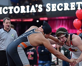 NILES, OHIO - JANUARY 3, 2018: Canfield's Tyler Stein and Howland's Brandon Matlock grapple for position during their 220lb bout, Wednesday nigh at the Eastwood Mall. DAVID DERMER | THE VINDICATOR