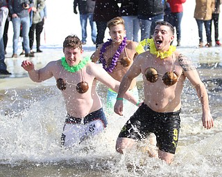 Cameron Palecte(green) of Vienna and Alex Rosoqicz(yellow) of Cortland with the Hawaiian Hotties return to the shore at the annual Polar Bear Plunge in mid 30 degree water for the Special Olympics, Saturday, Jan. 20, 2018, at the Mosquito Lake State Park Swimming Beach in Cortland...(Nikos Frazier | The Vindicator)
