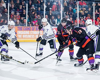 Scott R. Galvin | The Vindicator.Youngstown Phantoms right wing Chase Gresock (19) takes a shot on net during the first period against the Tri-City Storm at the Covelli Centre on Saturday, January 20, 2018.