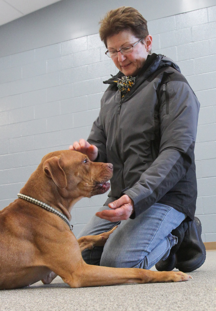William D. Lewis the vindicator   Janet Miklas of Austintown and a Friends of Fido volunteer shares a moment with Ellen, a dog at the Mahoning County Dog Pound 1-19-18.