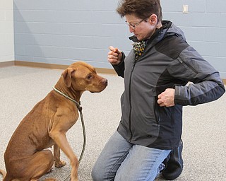 William D. Lewis the vindicator   Janet Miklas of Austintown and a Friends of Fido volunteer shares a moment with Ellen, a dog at the Mahoning County Dog Pound 1-19-18.