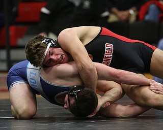 Canfield 170 pound Anthony D'Alesio wrestles Louisville 170 pound Brent Paulus during the OHSAA Wrestling Division II Region 12 team finals, Wednesday, Jan. 31, 2018, in Canfield...(Nikos Frazier | The Vindicator)