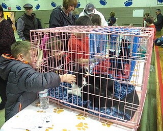 Neighbors | Zack Shively.Union Elementary's Grandparents Night included a visit from New Lease on Life, an animal rescue in Struthers. The rescue brought  dogs, cats and rabbits for the families to pet.