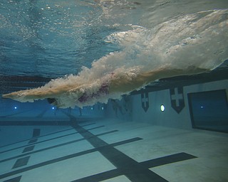 Gia Direnzo starts, Wednesday, Feb. 14, 2018, at the Youngstown State University Natatorium in Youngstown...(Nikos Frazier | The Vindicator)