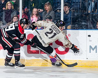 Scott R. Galvin | The Vindicator.Youngstown Phantoms center Mike Regush (21) gets checked into the board by Waterloo Black Hawks defenseman Hunter Lellig (29) during the first period at the Covelli Centre on Saturday, February 17, 2018.