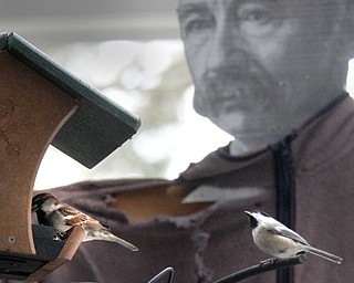 William D Lewis the Vindicator   A sparrow and a black capped chickadee feed near the Ford Nature Center in Mill Creek Park. A cardboard cutout of Mill Creek Park founder Volney Rogers is in background.