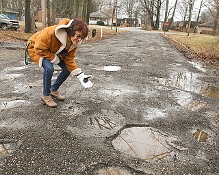 Liberty Township Trustee Jodi Stoyak points out the deteriorating condition of Trumbull Avenue near Northgate Drive.