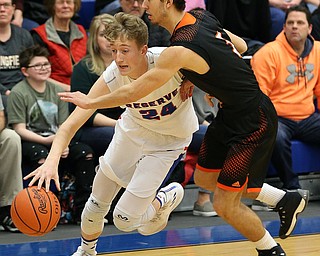 Springfield vs. Western Reserve Basketball